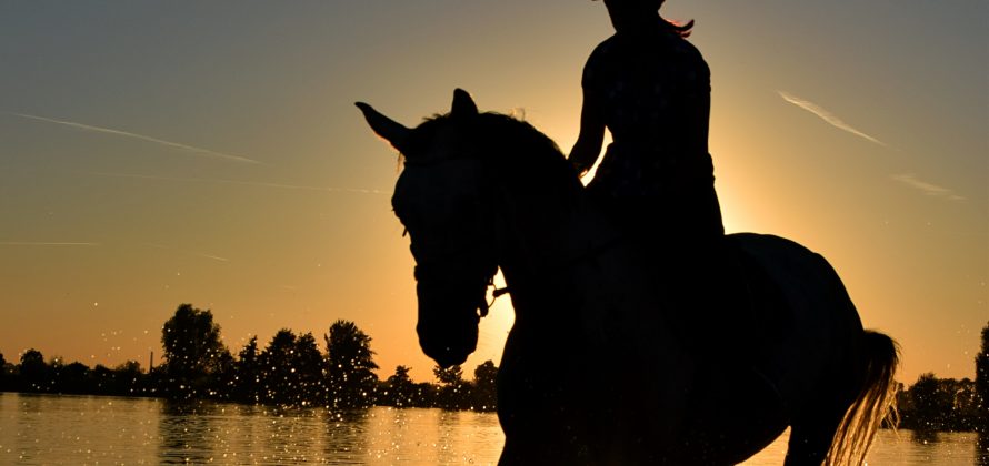 Ridesport er flott